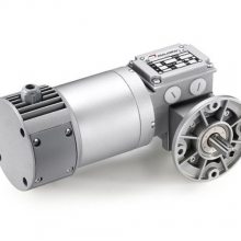 Mini MotorֵAC 110P2ڹת