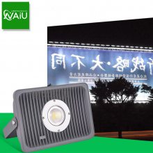 LED投光灯30W 户外广场公园柱子防水聚光灯 LED照树灯30W