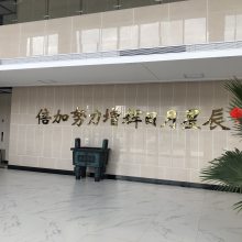 山东倍辰新材料有限公司设备升级改造验收顺利投产