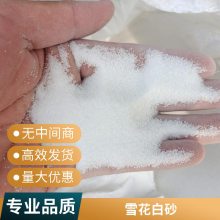 守信 白沙子沙滩造景可用雪花白砂 儿童娱乐沙 草坪填充装饰砂