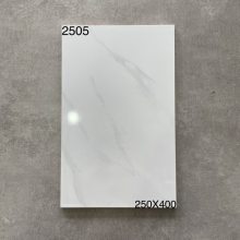 ǽש250x400mmשɽ͸ˮƬˮש