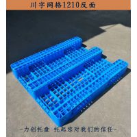 Ͽ泵