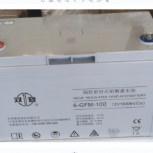 ˫ǷܷʽǦά6-GFM-100C20