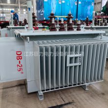 6.3kV/10kVͽʽѹ S13-500kVA/6.3kVͽʽѹ