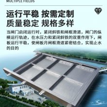 舟山供应农田污水处理厂用不锈钢闸门 液压闸门