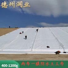 700克复合土工膜两布一膜 蓄水池防渗漏材料 热熔接缝抗穿刺 润业