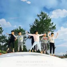 ֳıXY-168޶豸ɳѱıĴ