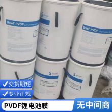   ά PVDF Solef 41308