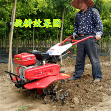 �ַ������������� ����ƻ��԰ʩ�ʿ����� �ɴ��������Ŀ�����