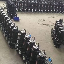 150WQ100-7-5.5иʽˮóཬ۱220Vûسˮ380VСǱˮ