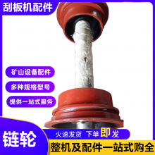 煤电厂捞渣机链轮 NE30提升机头轮底轮总成 消失模铸造传动齿轮
