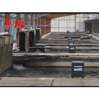 赤坂锦鲤鱼池喂食器丨太阳能喂鱼器批发 10年实体经营