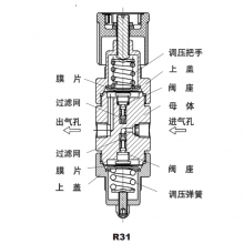 GENTEC R31ϵ316L˫ʽѹ R31SLMK-DLG-00-00