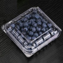װ500˲ݮϰװ һ͸ˮгֻ