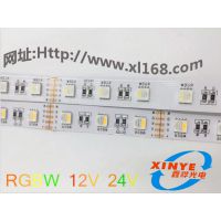 ֱ ledƴ5050rgbw ȫʵů/ ѹ12V