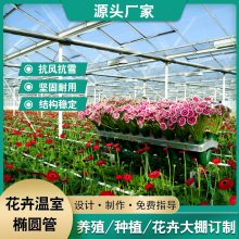 非洲菊半坡砖墙温室热镀锌椭圆管