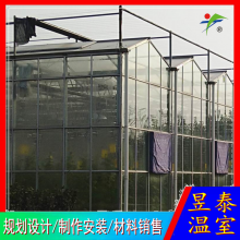 昱泰温室 蔬菜种植设施 玻璃连栋温室大棚 YTWSWL2040