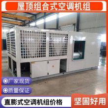 直膨式空调机组 安全高效 外观新颖 运行稳定直膨式空调机组