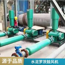 三叶罗茨鼓风机 水泥厂罗茨风机