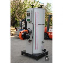 蒸汽锅燃油蒸汽发生器厂家-隆鑫-燃油蒸汽发生器厂家
