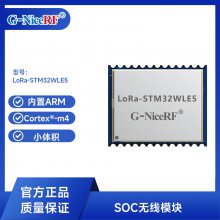 ˼Ϊ SOCƬϵͳ ģLoRa-STM32WLE5 С ARM