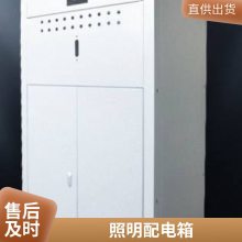 成套配电箱柜 漏电保护 电容柜 组合方便 进出线 室外式