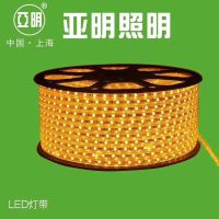 LED*** LEDֱ