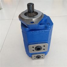 泊姆克液压泵 P124-16182 泊姆克齿轮油泵