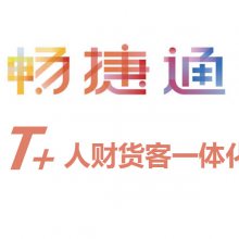 ൺҵ_T+_˲Żһ廯