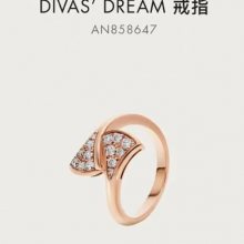 DIVAS' DREAMϵСŽָ꣬ţâ財