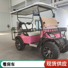 ClubCar Tempo 2P¿߶ ֵ綯 ۹Ӵ