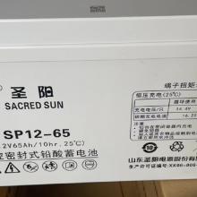 ʥطܷʽ ʥǦά SP12-65C10