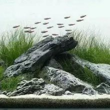 怎么用青龙石做鱼缸景