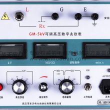 ӦGM-10kV ɵѹŷ