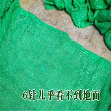 建筑工地绿网 公路防尘网 加密遮阳网价格