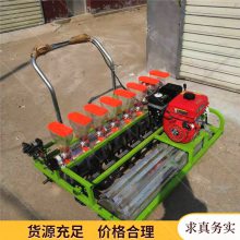 生产自走式汽油播种机 谷子单粒精播机 手扶播种机厂家
