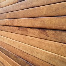 河南确山：看护古树名木 传承千年回忆