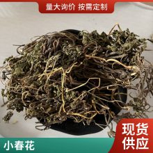 中药材阴地蕨一斤 新货一朵云无硫干品 获证堂冷背药材