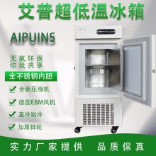 速冻冰板的冰箱低温冷柜冰柜艾普速冻冰盒的冰箱冷柜低温冰柜艾谱仪器