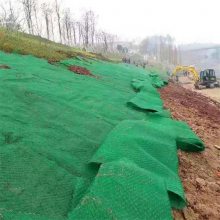 植被网 PE三维植被网 厂家专业生产销售