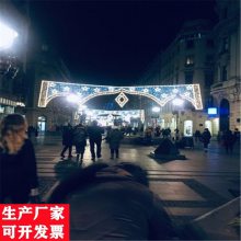 华妮定制节日装饰霓虹灯 春节树木亮化挂件 LED藤球灯 挂树彩灯