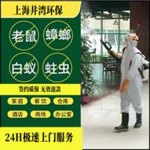 上海 松江区螨虫公司 饭店食堂灭蟑螂灭蚊蝇灭鼠 家庭捕鼠