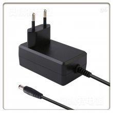 24V1.4AԴCoC V5/DoE Ч׼24V1400MA