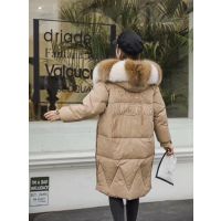 ����*** �������޷� �߷�����ʯ�����й㳡