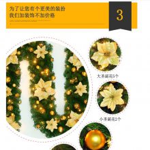 2020´Ԫڵ쳡ڼ̳㳡չװ