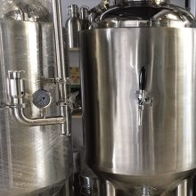 方联精酿啤酒发酵罐独立控温设备酿酒发酵罐啤酒罐100-500升发酵罐