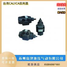 ̨CALYCAεŻDSA-03-2B2L-A110Һ