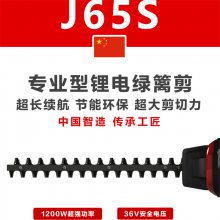 N+J65綯˫﮵ˢ֦ó޼36V