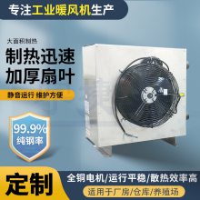 一键启动 工业取暖暖风机 制热迅速防爆型热水蒸汽热风机 节能环保