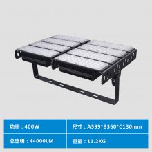 Sl(f)FledͶ300w